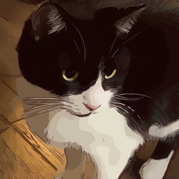 Sanny Garrett Professional Cat Sitter