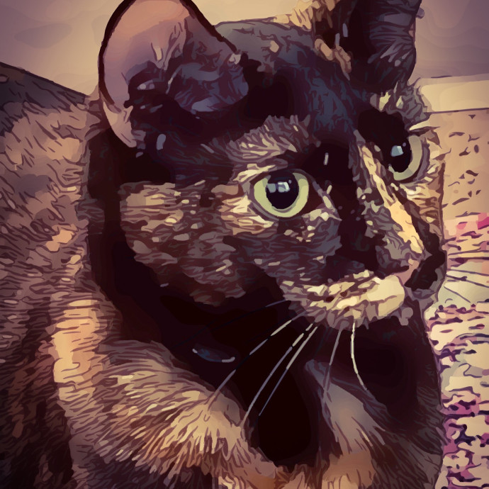 Sanny Garrett Professional Cat Sitter