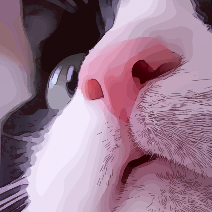 Sanny Garrett Professional Cat Sitter