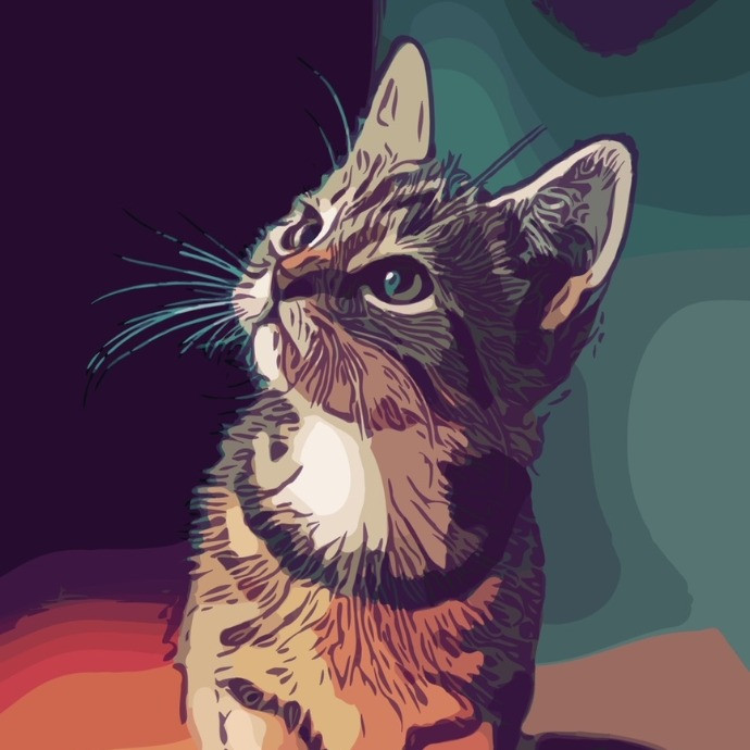 Sanny Garrett Professional Cat Sitter