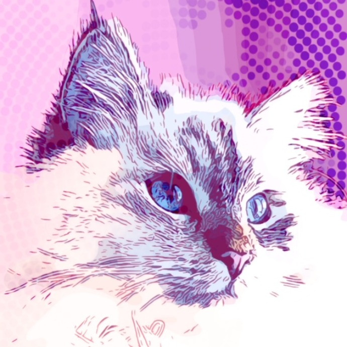 Sanny Garrett Professional Cat Sitter