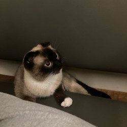 Photo #1 Photo #1