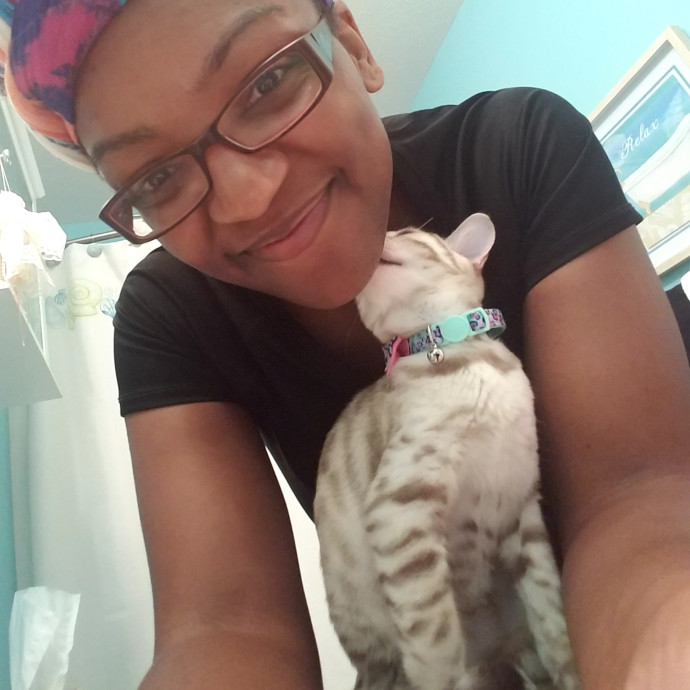 Your Favorite Neighborhood Kitty Lover