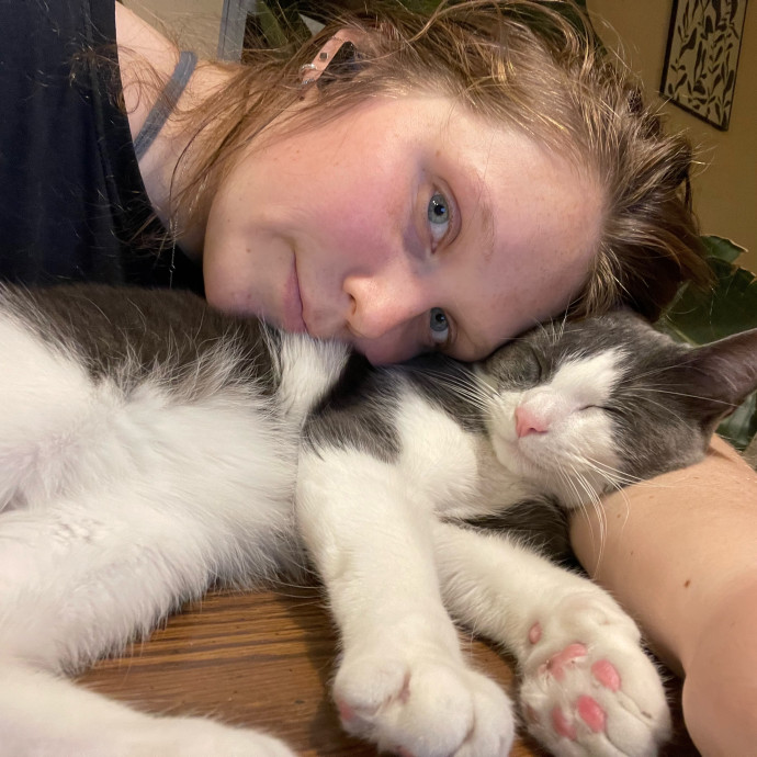 Johanna's Attentive Cat Care