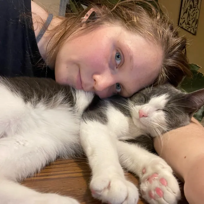 Johanna's Attentive Cat Care