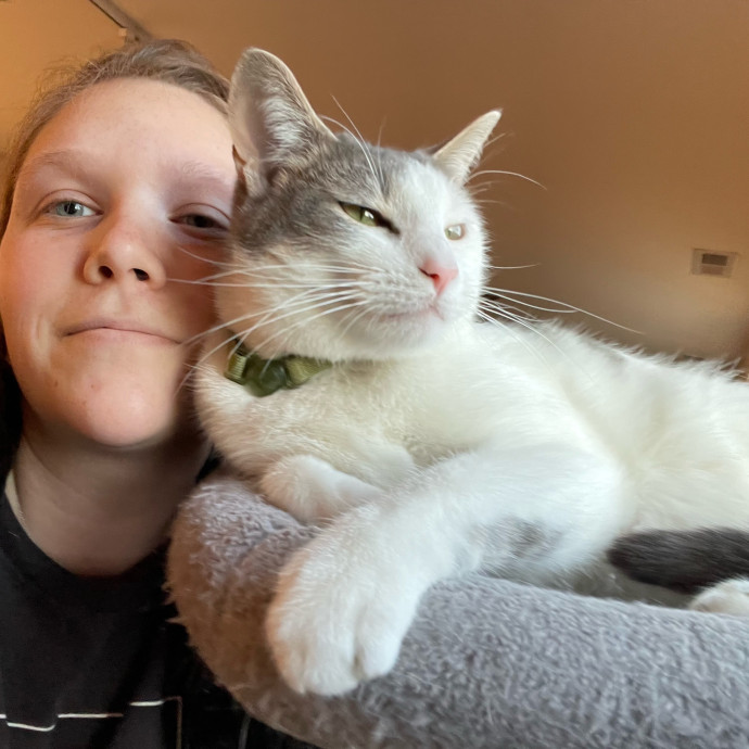 Johanna's Attentive Cat Care