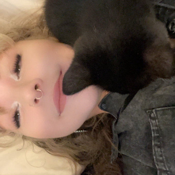 Your Cat's Emotional Support Human photo 2