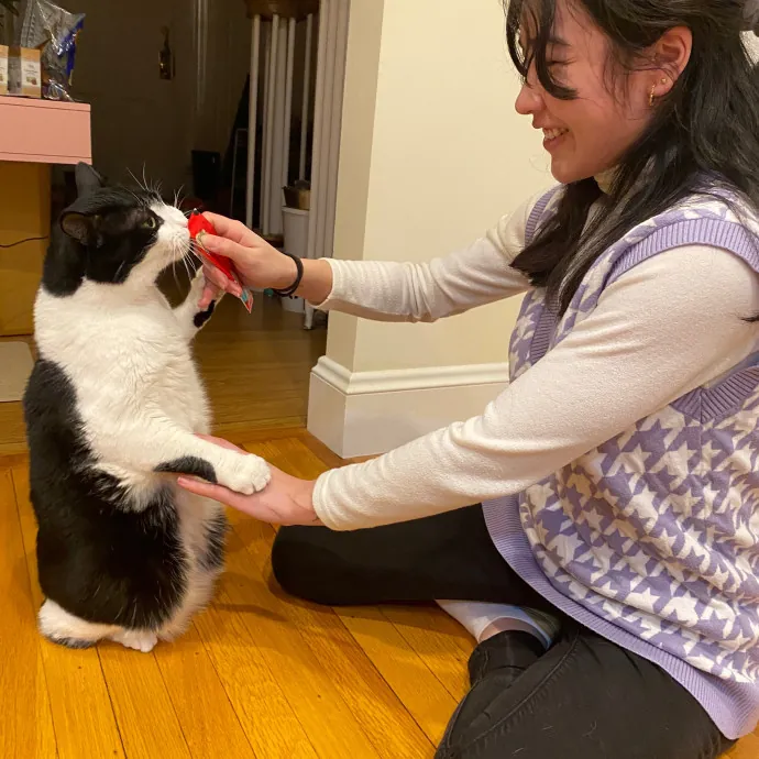 Leah's Purr-Fect Pet Sitting