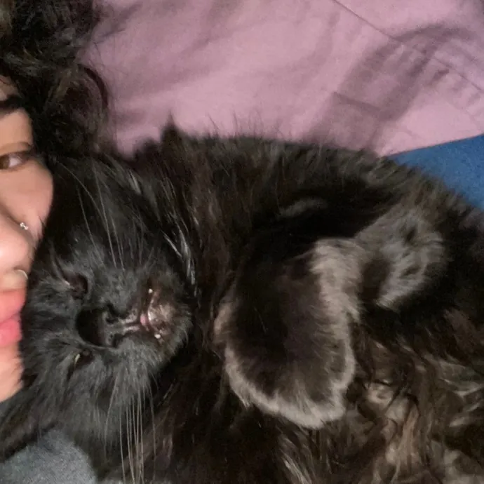 Leah's Purr-Fect Pet Sitting