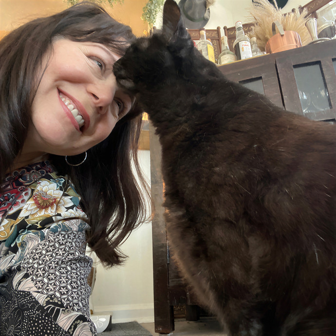 Happy Tails Cat Sits- Experienced Cat Sitter In San Francisco