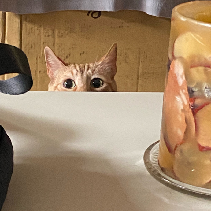 Dedicated Cat Butler