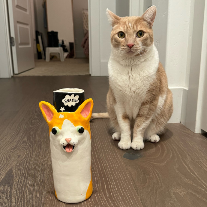 Ally's Cat Care photo 2