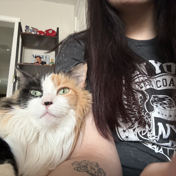 Experienced Cat Sitter You Can Trust