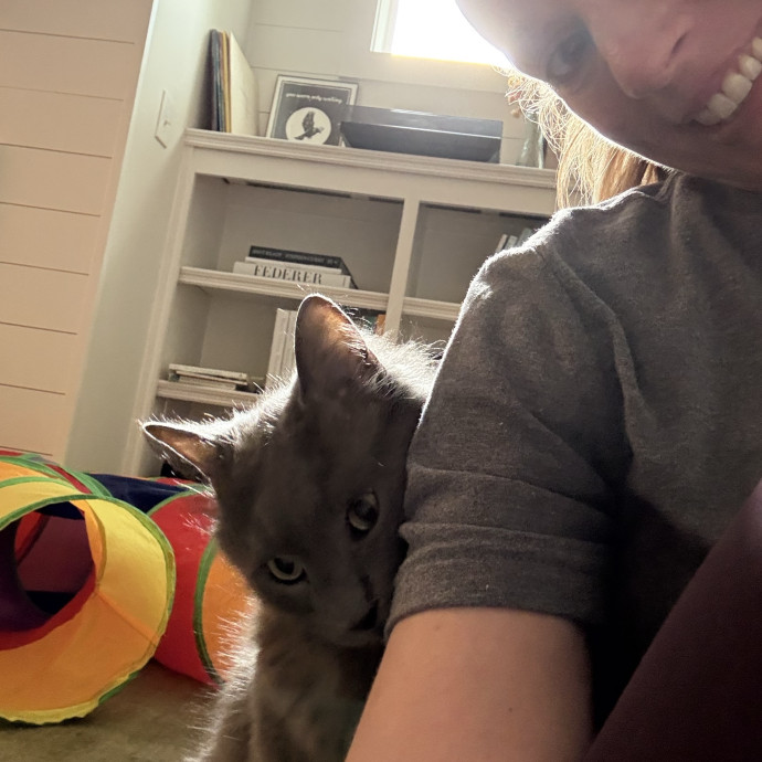 Happy Pawz Cat Sitting photo 2