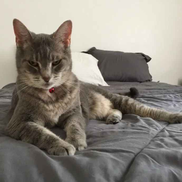 Happy Purrr Sitter Service