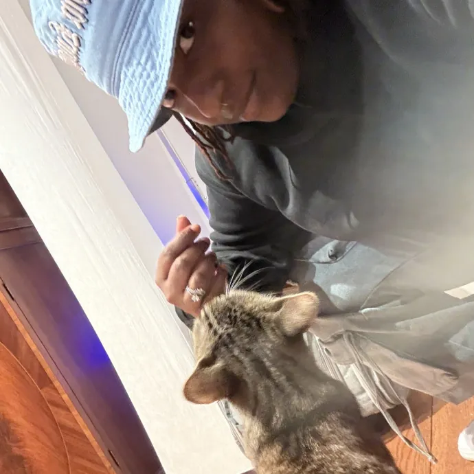 Your Friendly Neighborhood Cat Sitter