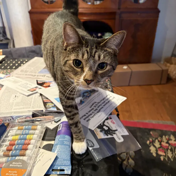 Your Friendly Neighborhood Cat Sitter