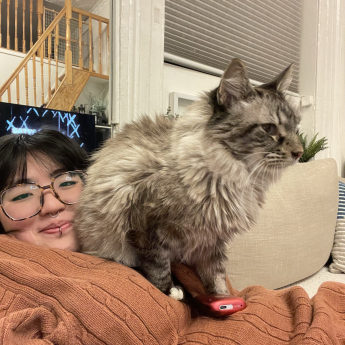 Experienced Cat Lover