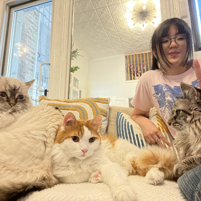 Experienced Cat Lover photo 3