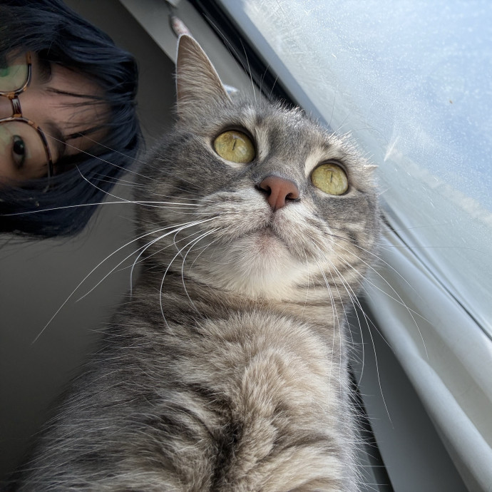 Experienced Cat Lover photo 2