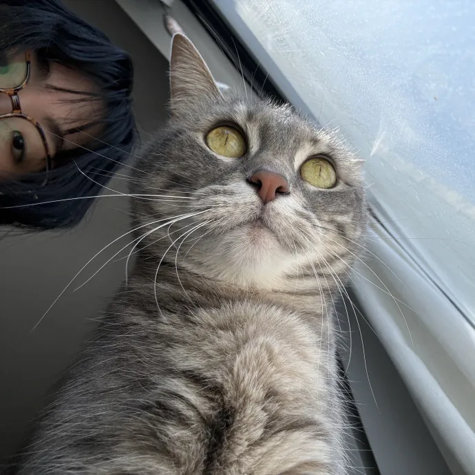 Tiffany W.