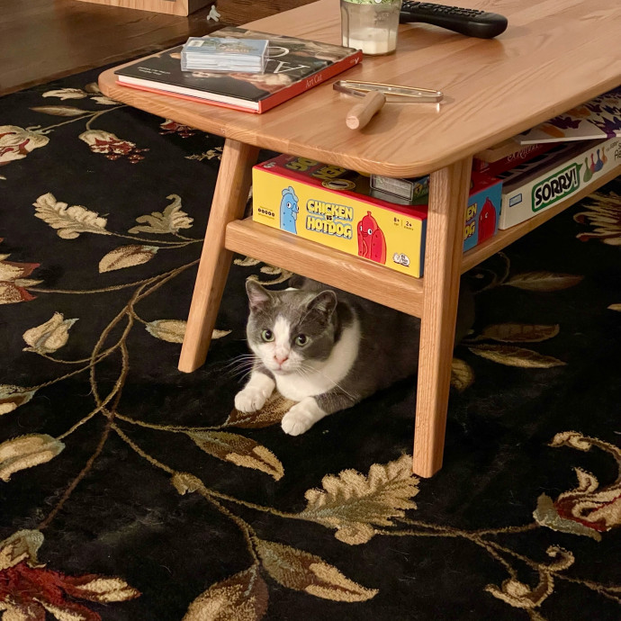 Gatomania Sitter