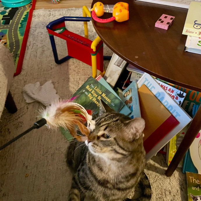 Gatomania Sitter