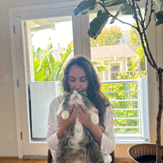 Theresa's Paw Seasons