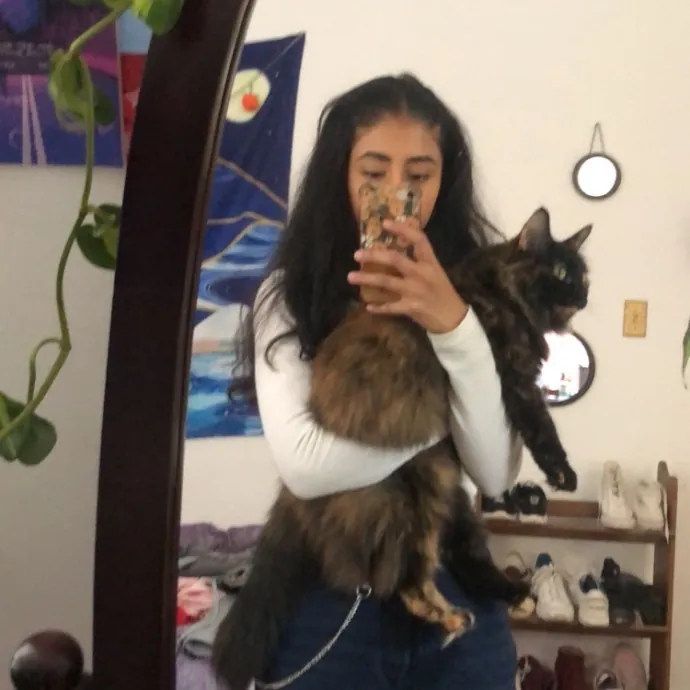 Calm And Caring Kitty Friend