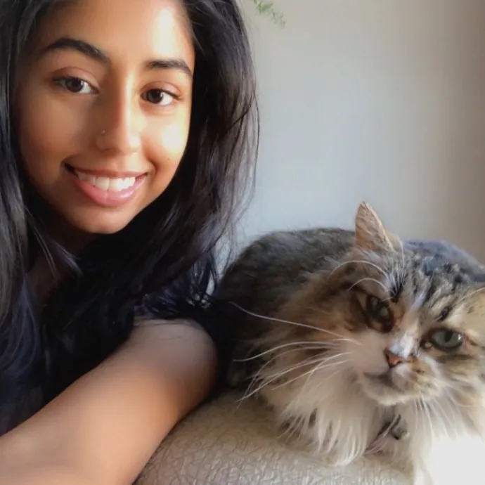 Calm And Caring Kitty Friend