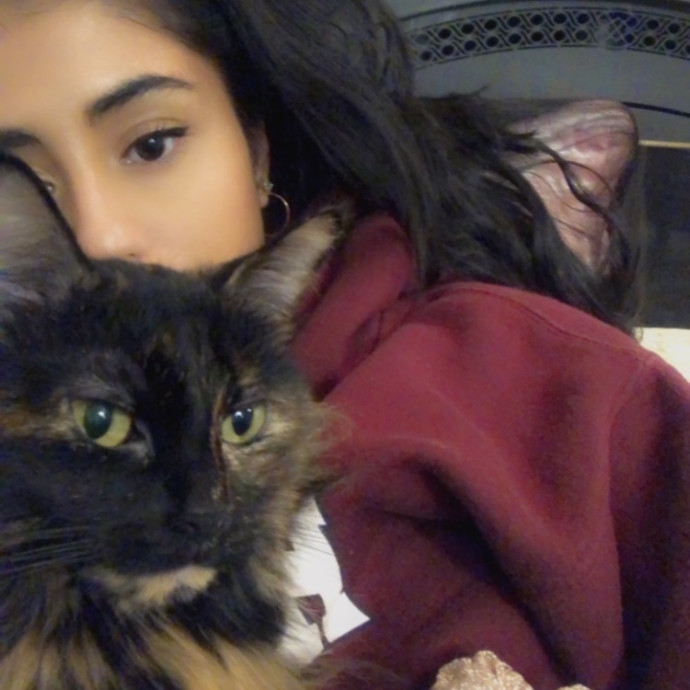 Calm And Caring Kitty Friend