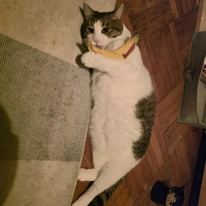Juliana H.