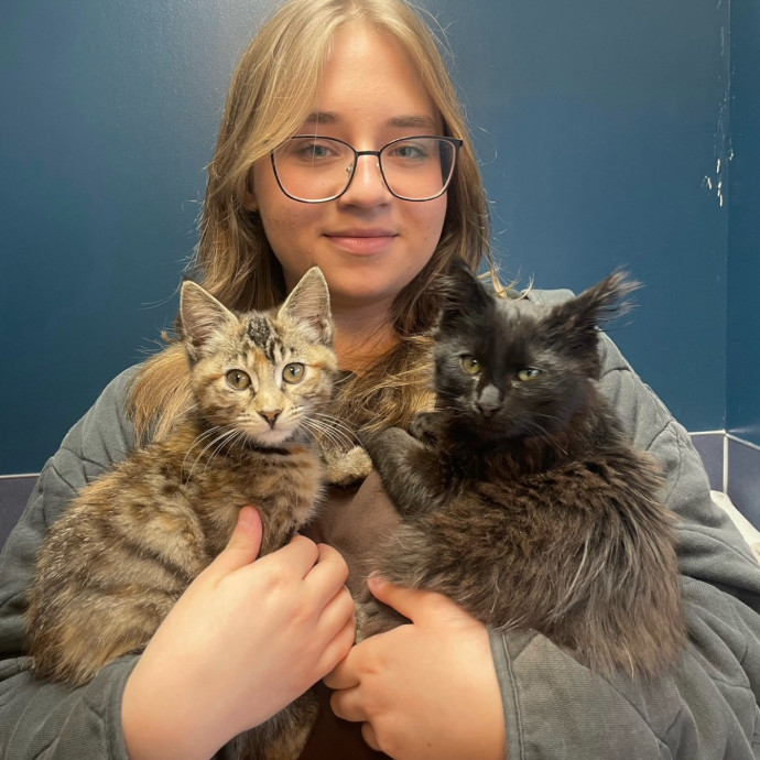 Loving And Reliable Cat Sitter