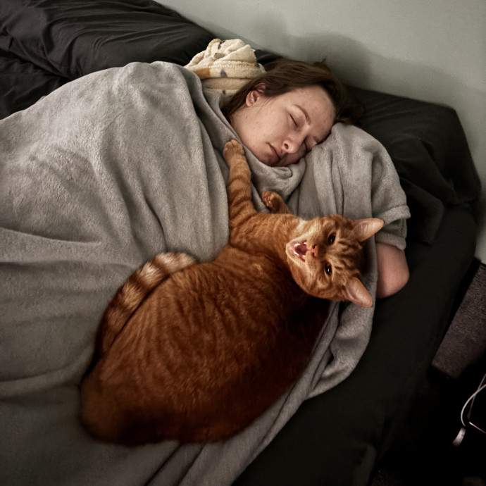 Nocturnal Feline Enthusiast