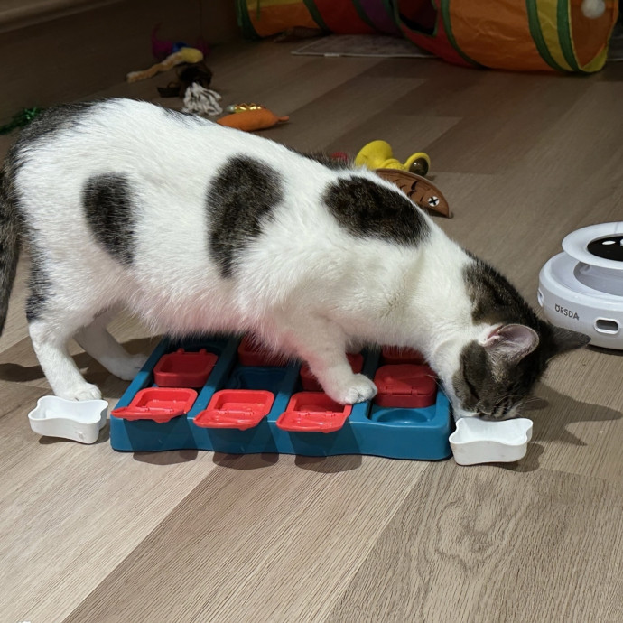 Pet Au Pair