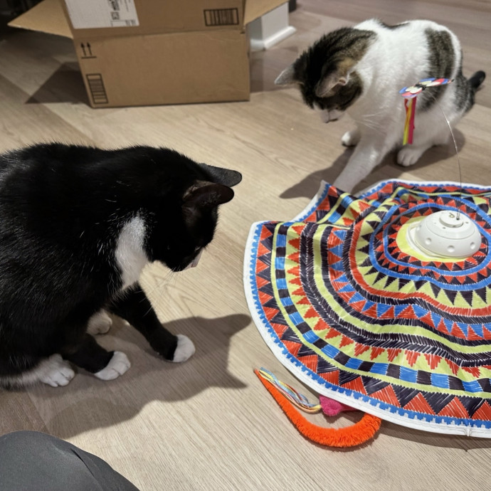 Pet Au Pair