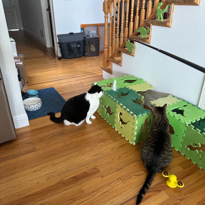 Pet Au Pair