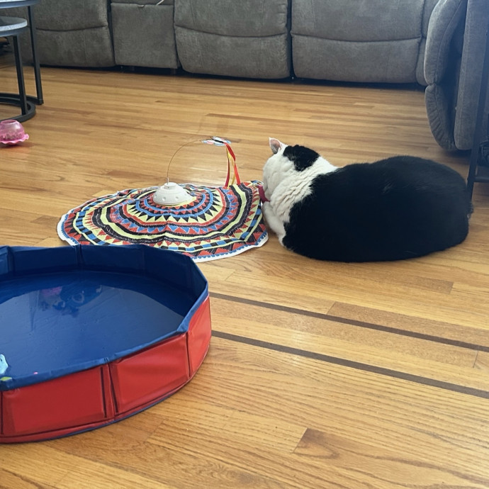 Pet Au Pair