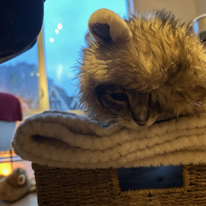 Pet Au Pair