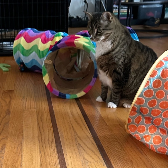Pet Au Pair