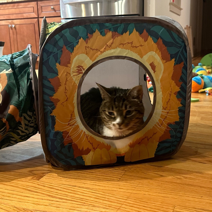 Pet Au Pair