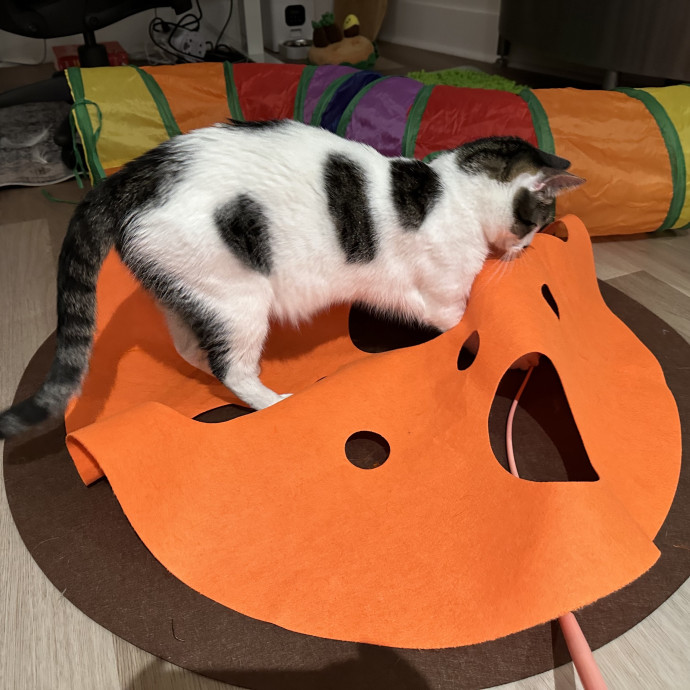 Pet Au Pair