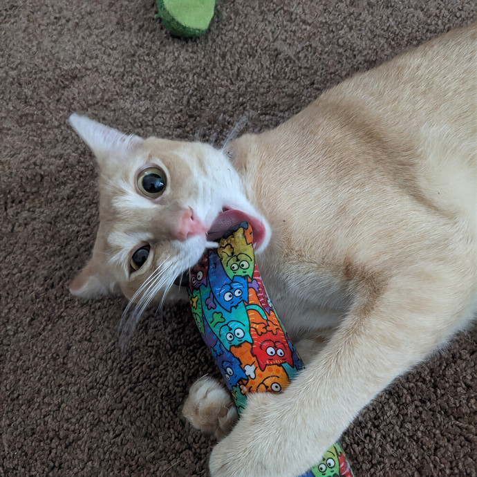 Cat Man Eric