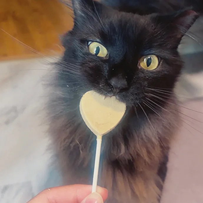 Ziara T.