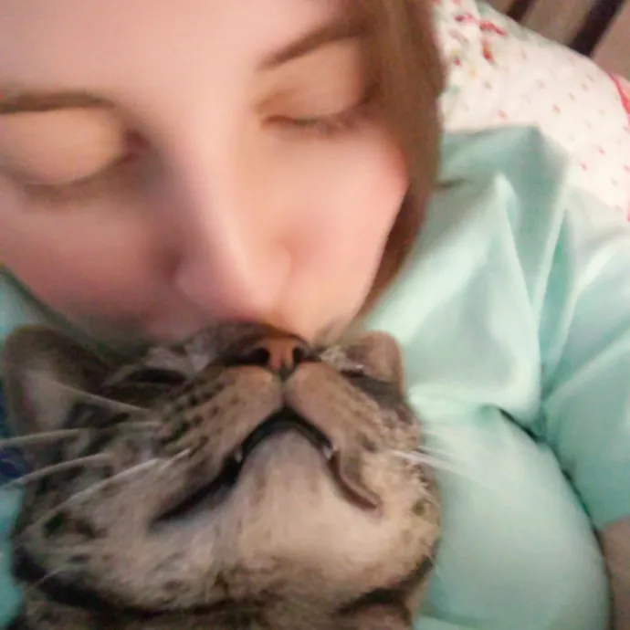 Amelia's Purrfect Cat Sitting