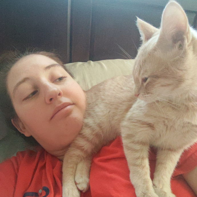 Amelia's Purrfect Cat Sitting photo 2