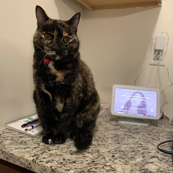 Tristan's Kitty Care