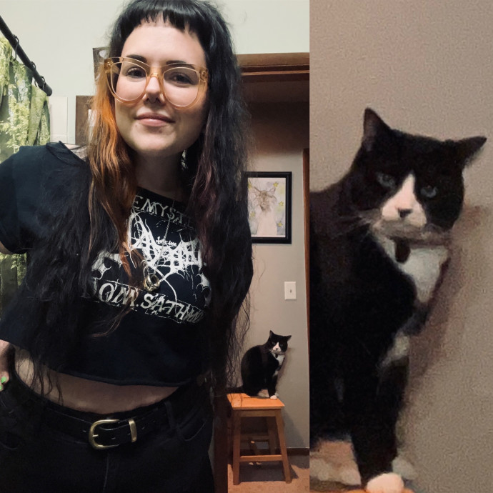 Kimmy's Kat Sitting