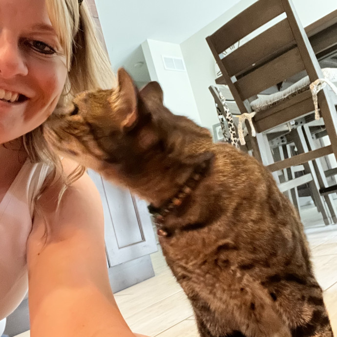 Your Local Cat Lady photo 3