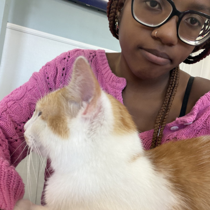 A Cats Best Friend